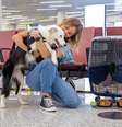 Novas regras devem aumentar a segurança e o conforto dos pets domésticos durante viagens de avião  Foto: yar-andy | Shutterstock / Portal EdiCase