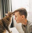 Muitos gatos preferem interação humana em vez de comida ou brinquedos  Foto: Getty Images / BBC News Brasil