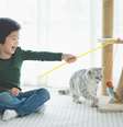 Os gatos podem criar conexões fortes com os humanos  Foto: ANURAK PONGPATIMET | Shutterstock / Portal EdiCase