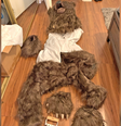 Fantasia utilizada para simular ataque de urso  Foto: California Department of Insurance
