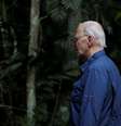 Joe Biden, presidente dos EUA, faz visita à Amazônia antes da cúpula do G20  Foto: REUTERS/Leah Millis