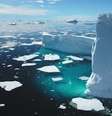 Icebergs derretendo no Oceano Ártico: desaceleração da Circulação de Revolvimento Meridional do Atlântico (AMOC, na sigla em inglês) terá consequências para o clima e os ecossistemas de todo mundo. Mozgova, Shutterstock  Foto: The Conversation