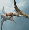 Ilustração de dois pterossauros da espécie Skiphosoura bavarica  Foto: Foto:  Gabriel Ugueto/via Reuters