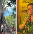 Qual é a árvore favorita de Tom Jobim que virou cenário para a foto de filha de Biden  Foto: Reprodução/Instagram/Getty Images