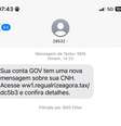 Exemplo de mensagem de golpe usando a CNH  Foto: Divulgação/Detran-BA