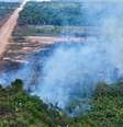 Motoristas que se aventuram a percorrer a BR-319, entre Porto Velho (RO) e Manaus (AM), vivenciam uma experiência única através da Floresta Amazônica  Foto: Getty Images / BBC News Brasil