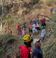 Ônibus cai em ribanceira e deixa mortos e feridos em Alagoas  Foto: Reprodução/Governo de Alagoas