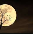 Warawut Klinjun/Shutterstock  Foto: The Conversation