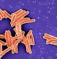 A bactéria "Mycobacterium tuberculosis", que causa tuberculose, é um dos patógenos mais perigosos do mundo  Foto: DW / Deutsche Welle
