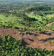 Imagem mostra desmatamento.   Foto: Mais Goiás