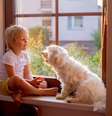 Os cães são ótimos companheiros para as crianças  Foto: Tomsickova Tatyana | Shutterstock / Portal EdiCase