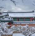 A capital da Coreia do Sul, Seul, foi recentemente coberta por uma camada de neve recorde, atraindo a atenção dos moradores  Foto: Canva Fotos / Perfil Brasil