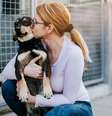 A compra de cachorros está associada a diversas questões negativas  Foto: hedgehog94 | Shutterstock / Portal EdiCase