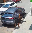 Criminosos roubam carro em frente à escola em Belo Horizonte  Foto: Reprodução/O Tempo