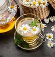 Chá de camomila com hortelã  Foto: George Dolgikh | Shutterstock / Portal EdiCase