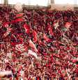  Foto: Adriano Fontes / CRF - Legenda: Flamengo tem a maior torcida do Brasil / Jogada10