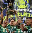 Palmeiras celebra o duodecacampeonato brasileiro, em 2023  Foto: Cesar Greco/Palmeiras