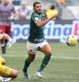  Foto: Cesar Greco/ Palmeiras - Legenda: Palmeiras nunca perdeu para o Fluminense no Allianz Parque / Jogada10