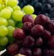 Imagem mostra uvas verdes e roxas.   Foto: Canva Equipes/Jupiterimages de Photo Images / Bons Fluidos