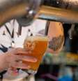 Cerveja Alma Mater é eleita a melhor na 4ª Copa Cerveja Brasil   Foto: Divulgação