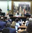 Audiência pública que discutiu projeto de lei reuniu negacionistas eleitorais defensores do voto impresso.  Foto: Vinicius Loures/Agência Câmara / Estadão