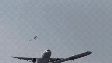 Avião acerta bando de pássaros durante pouso na China; veja  Foto: Reprodução/X