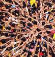 No ano passado, a Índia ultrapassou a China e se tornou o país mais populoso do mundo  Foto: AFP / BBC News Brasil