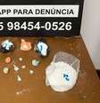  Foto: Polícia Civil / Porto Alegre 24 horas