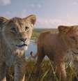 Cena de 'Mufasa: O Rei Leão'  Foto: Disney/Divulgação / Estadão