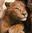 Mufasa: O Rei Leão, prelúdio do live-action de 2019, estreia nos cinemas brasileiros  Foto: Divulgação/Disney / Rolling Stone Brasil