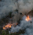 Pará registra maior número de focos de incêndio em 2024  Foto: Marizilda Cruppe