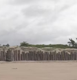 O muro que "privatizou" um das principais praias de Pernambuco  Foto: Reprodução/TV Globo