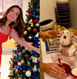 Fátima Bernardes revelou que gosta de comemorar o Natal com tradição  Foto: Reprodução/Instagram