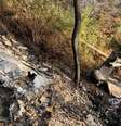 Destroços da queda do Cessna 207, no estado de Jalisco, no México.   Foto: Reprodução/Protección Civil JAL