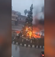 Vídeo mostra árvore em chamas enquanto pessoas jogam líquido nela  Foto: Reprodução/ Redes sociais / BBC News Brasil