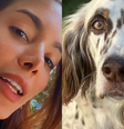 Cachorro de Anitta sumiu na noite de natal  Foto: Reprodução/Instagram/@anitta