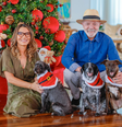 Lula compartilha foto ao lado de Janja e dos pets no Natal: ' Que o amor brilhe mais forte'  Foto: Ricardo Stuckert