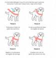passo a passo do telling touch, técnica para cachorro com medo de fogos  Foto: Patas Da Casa