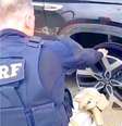 Um homem de 41 anos foi flagrado dirigindo sob influência de cocaína na BR 153, em José Bonifácio. Ele estava tão alucinado que voltava pra casa sem os dois pneus do lado direito do carro, e rodou por 30 quilômetros arrastando o aro no asfalto. - Rerpdoução/Instagram/@prf_sp  Foto: Reprodução/Instagram/@prf_sp / Estadão