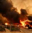 Incêndio florestal em Los Angeles, Califórnia, nos EUA  Foto: REUTERS/David Swanson