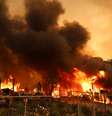 Incêndio florestal em Los Angeles, Califórnia, nos Estados Unidos  Foto: REUTERS/David Swanson