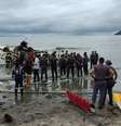 Avião de pequeno porte com 5 pessoas a bordo cai e explode em Ubatuba; piloto morre  Foto: Divulgação/Defesa Civil