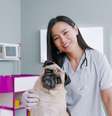 A castração traz benefícios à saúde do cachorro e mudanças em seu comportamento  Foto: VesnaArt | Shutterstock / Portal EdiCase