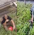 Piloto de helicóptero foi retirado do mato pelos bombeiros  Foto: Reprodução/TV Globo / Perfil Brasil