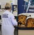  Foto: Imagem Ilustrativa - Montagem / Sofia Villela / Ascom IGP / Porto Alegre 24 horas