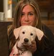 Jennifer Aniston explicou por que não teve filhos  Foto: Reprodução/Instagram/Jennifer Aniston