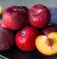 A ameixa é uma opção versátil que combina sabor e uma riqueza de nutrientes importantes  Foto: Alexandr Vorobev | Shutterstock / Portal EdiCase