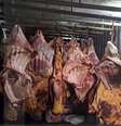 Policiais encontraram carne embalada há oito meses  Foto: Reprodução/TV Globo