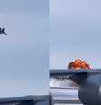 Caça explode durante testes em base aérea americana e piloto consegue se ejetar a tempo  Foto: Reprodução/X