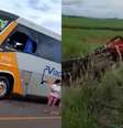 Motorista de caminhão ficou gravemente ferido  Foto: Reprodução/YouTube/TN Online / Contigo